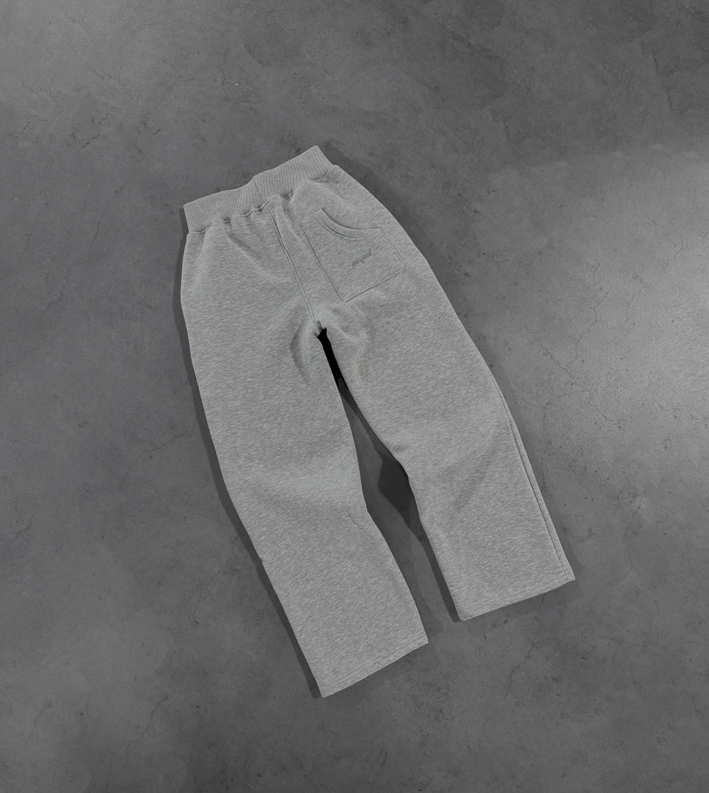 PERFECT Grey pant