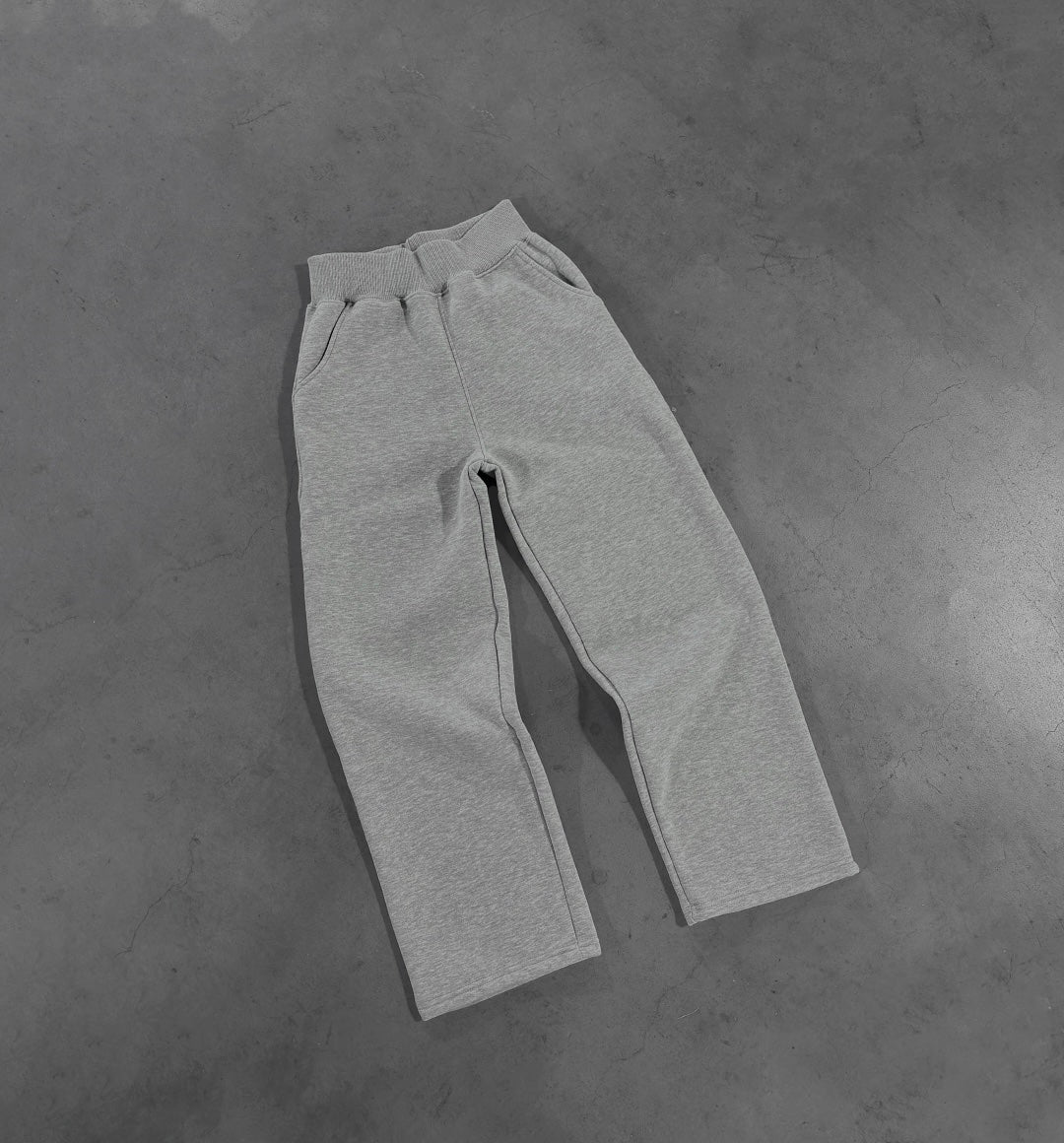 PERFECT Grey pant